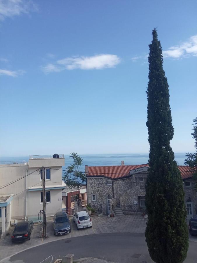 Apartment Borovic *